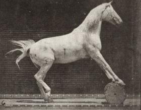 Plate 649 A: 'Hornet' rocking. B: 'Eagle' rolling a barrel — figure reference